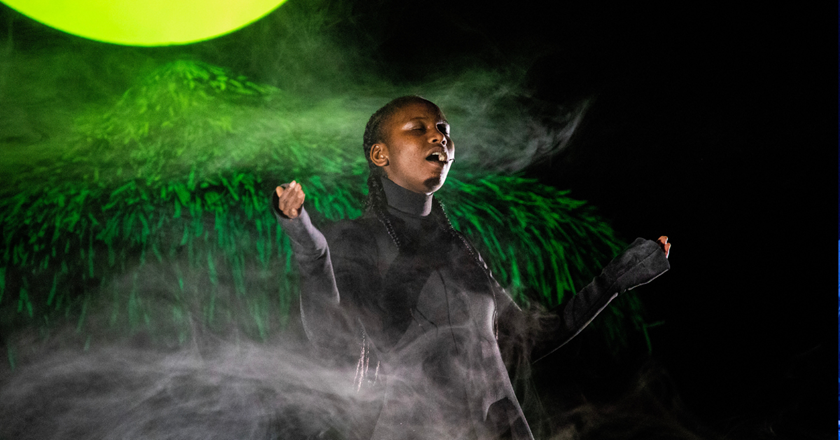 5Great Apes fotos Shirin Rabi9008