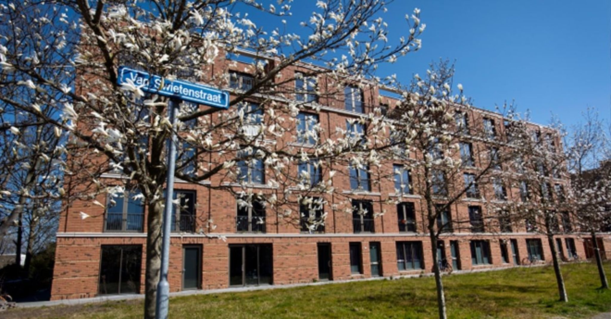 Rij met nieuwbouwwoningen. Er staat een staatnaambord met Van Swietenstraat erop.