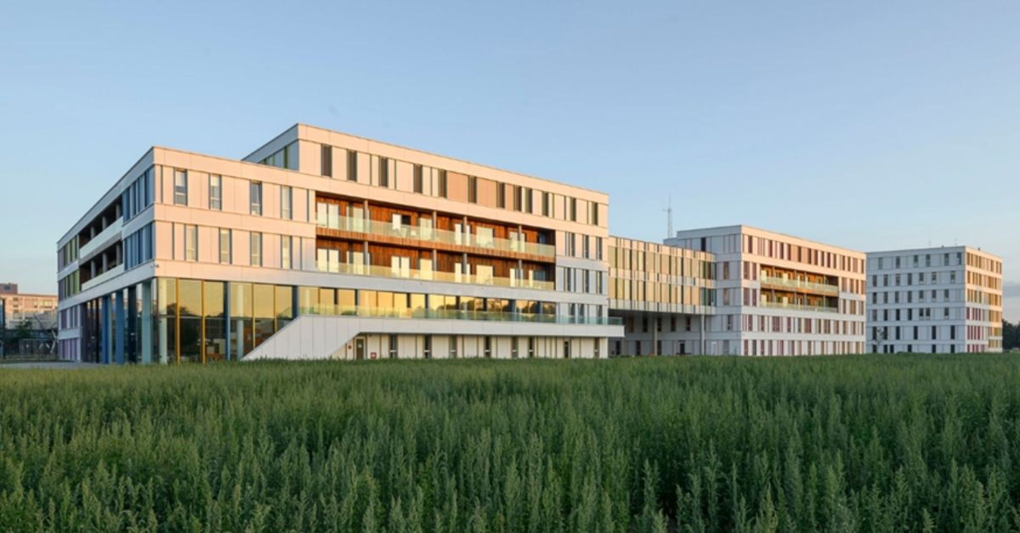 Gebouw Prinses Máxima Centrum in avondlicht met groen hoog gras voor het gebouw.