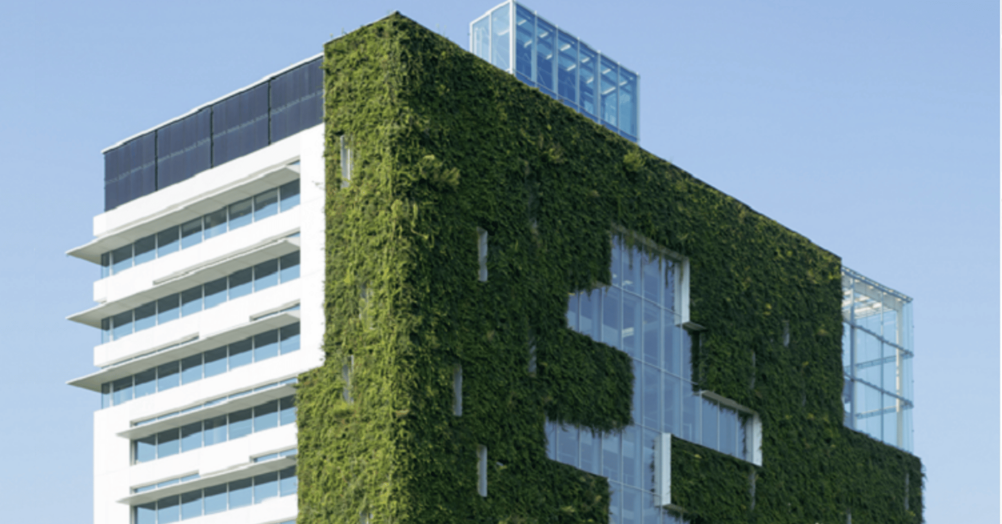 Kantoorgebouw met gedeeltelijk een groene gevel.